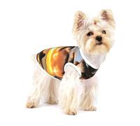 Coconut Beach - Camiseta sin mangas ligera con estampado de hamaca, para perros pequeños, camisetas elásticas sin mangas