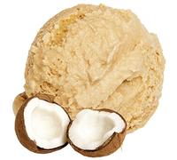 Coconut flavor soft ice cream powder - For Soft ice machine - 1: 3 - 333g