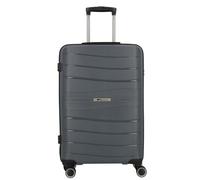 Cocoono Leon 4 ruedas Carrito 66 cm gris