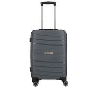 Cocoono Leon 4 ruedas Carro de la cabina 55 cm gris