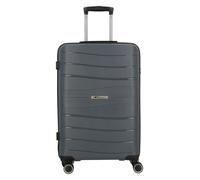cocoono Leon 4 ruedas Trolley 66 cm gris