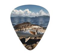 Cod of the Islands Prints - Púas de guitarra (12 piezas, 3 grosores diferentes, adecuadas para guitarra eléctrica y acústica)