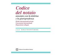 Codice del notaio annotato con la dottrina e la giurisprudenza. Diritto internazionale privato. Convenzioni internazionali. Disposizioni collegate (Legislazione commentata)