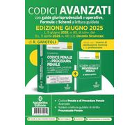 Codice penale e di procedura penale avanzato, con guide giurisprudenziali e operative, formule e schemi a lettura guidata aggiornato alla L. 9 giugno ... c.d. Decreto Sicurezza. Con espansione online