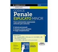 Codice penale esplicato. Con commento essenziale articolo per articolo. Ediz. minor. Con App Codici Simone per un codice sempre aggiornato (Codici. Collana legislativa)