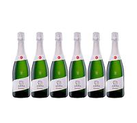 Codorníu | Anna de Codorníu Cava Brut | Medalla de Oro Concours Mondial de Bruxelles | Caja de 6 botellas de 75 cl