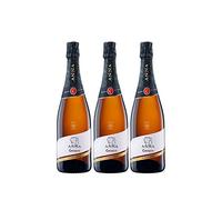 Codorníu | Cava Brut Anna de Codorníu Blanc de Noirs | Caja de 3 botellas de 75 cl