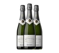 Codorníu Non Plus Ultra Cava 75 cl Espumoso blanco (Caja de 3 Botellas de 75 cl)