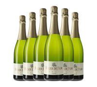 Codorníu Roger de Flor Brut Cava 75 spumoso blanco (Caja de 6 Botellas de 75 cl)