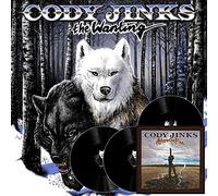 Cody Jinks After the Fire/The Wanting (Vinyl) 12" Album (Importación USA)
