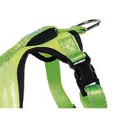 Cofan Arnés Iluminado y Reflectante con Luz Led | Arnés para Perros (Talla L (45 x 45-70))