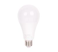 Cofan Bombilla LED classic E27 16 W 6500 K 1901 lúmenes, Luz fría 6500 K, Ahorro de energía, Apertura del haz de luz 180°