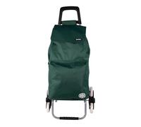 Cofan Carro de la Compra Plegable con 6 Ruedas | Sube escaleras | Bolsa de 42 litros | Bolsillo para congelados | Material: Hierro | Verde/Azul (Verde, 42 litros)