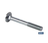 COFAN DIN 603 M-6 X 60 INOX A2
