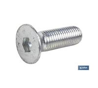 COFAN DIN 7991 M-12X35 INOX A2