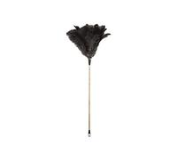 Cofan Plumero de pluma de avestruz Tipo A, mango de madera de haya, 60×23 cm, pluma 28 cm, unidad