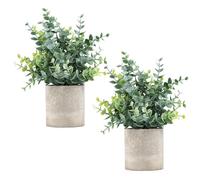 Coferset Paquete de 2 mini plantas artificiales de eucalipto en maceta, plantas de eucalipto en macetas, pequeñas plantas de casa para decoración del hogar, oficina, escritorio, habitación (Eucalipto,