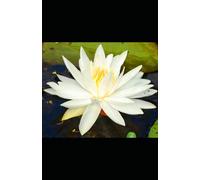 Coffee and Prayer with Jesus: Prayer Journal