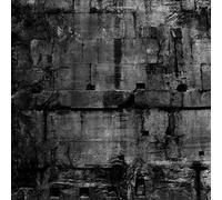 Coffin Dancer - Pax Romana [VINYL] [Vinilo]