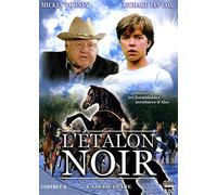 Coffret l'étalon noir, vol. 6 [Francia] [DVD]