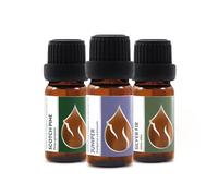 Cofre de Aceites Esenciales Orgánicos Magia de Bosque 30 ml | Pino silvestre, Enebro, Abeto plateado | 100% Puro y Natural | Sin Diluir | Granja Familiar | Sin OMG | 3 Piezas x 10 ml