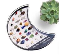 Cofre para guardar minerales - Vitrina de gemas, carrito de presentación de joyas | de organización de surtido de piedras de chakras naturales, conjunto de arreglos de preservación de colecció