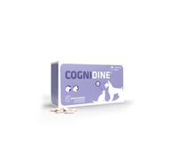 Cognidine 60 comprimidos - Función Cognitiva