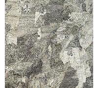 COH meets Abul Mogard [Vinilo]