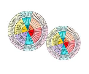 COHEALI 2 Hojas Pegatinas Rueda de Emociones PVC Duraderas de Decorativas para Terapia y Scrapbooking Adhesivas con Diseño Único para Móviles y Portátiles