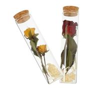 COHEALI 2 Mini Botellas de Vidrio con Flores Secas para Deseos, Decoración del Hogar, Pack de 2 Piezas Ocasión