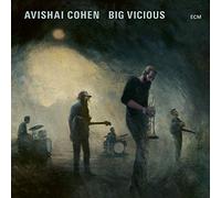 Cohen,Avishai - Big Vicious
