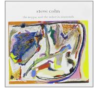 Cohn - The Beggar and the Robot in Diamonds