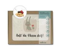 Cojín de huesos de cereza como cojín térmico o cojín refrigerante de algodón natural, 26 x 19 cm. Regalos cosidos a mano en caja de regalo. Conejo, mantiene las orejas rígidas