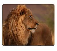 Cojín de ratón Alfombrillas de Raton Juego Mousepad Leones Namibia África PM0647