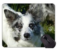 Cojín de ratón Antideslizante de los Animales del Pastor Terrier de los Animales domésticos, cojín de ratón de Goma del Border Collie