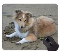 Cojín de ratón Antideslizante de los Animales del Pastor Terrier de los Animales domésticos, Cojines de ratón del Perro