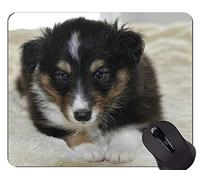 Cojín de ratón Antideslizante de los Animales del Pastor Terrier de los Animales domésticos, Cojines de ratón del Perrito