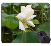 Cojín de ratón antirresbaladizo de goma antirresbaladizo para juegos de Lily Flower - Base de goma antideslizante Lotus de Mousepad