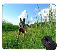 Cojín de ratón Australiano del Perro de Pastor, Alfombrilla de ráton del Perro con el Borde Cosido