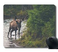 Cojín de ratón con Alces Canadá Alaska - Bordes cosidos