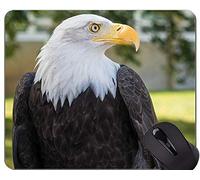 Cojín de ratón de Encargo único Mousepad, cojín de ratón de los Temas de Eagle de Pesca con el Borde Cosido