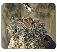 Cojín de ratón de Encargo único Mousepad, cojín de ratón de los Temas de la Nebulosa de Eagle con el Borde Cosido
