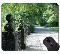 Cojín de ratón de encargo único Mousepad, cojines de ratón de Danubio Mousepads US0447