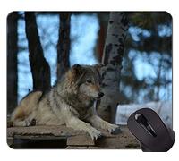 Cojín de ratón de Encargo único Mousepad, Cojines de ratón de Wolfs