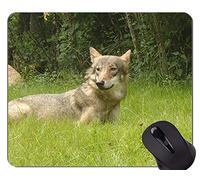Cojín de ratón de Encargo único Mousepad, los Mejores Cojines de ratón Frescos del Lobo