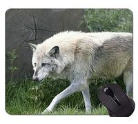 Cojín de ratón de encargo único Mousepad, paisaje norteño colorido con la estera del cojín de ratón del lobo del grito
