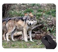 Cojín de ratón de Encargo único Mousepad, Retrato de un cojín de ratón Hermoso del Lobo con los Bordes cosidos