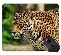 Cojín de ratón de goma antideslizante del juego, cojines de ratón del leopardo de la familia del gato salvaje...
