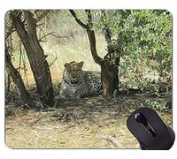 Cojín de ratón de Goma Antideslizante del Juego, Cojines de ratón del Leopardo de la Familia del Gato de Namibia
