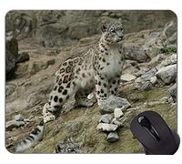 Cojín de ratón de goma antideslizante del juego, cojines de ratón del leopardo de la familia del gato de Snowleopard